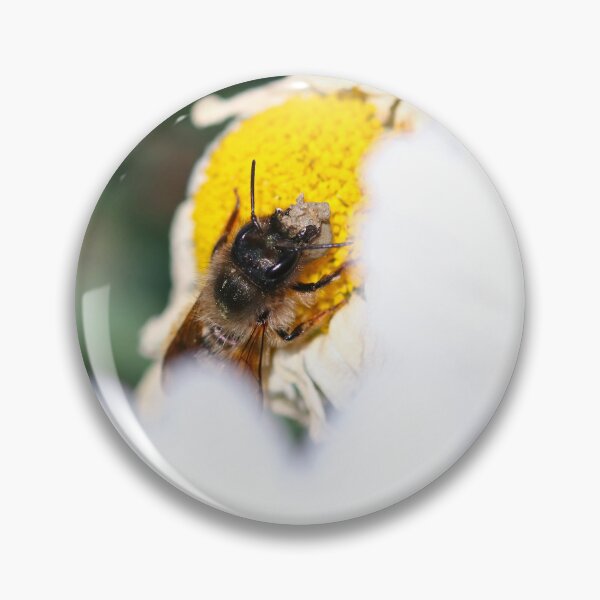 Item preview, Red mason bee collecting mud for her nest designed and sold by GreyFeatherPhot.