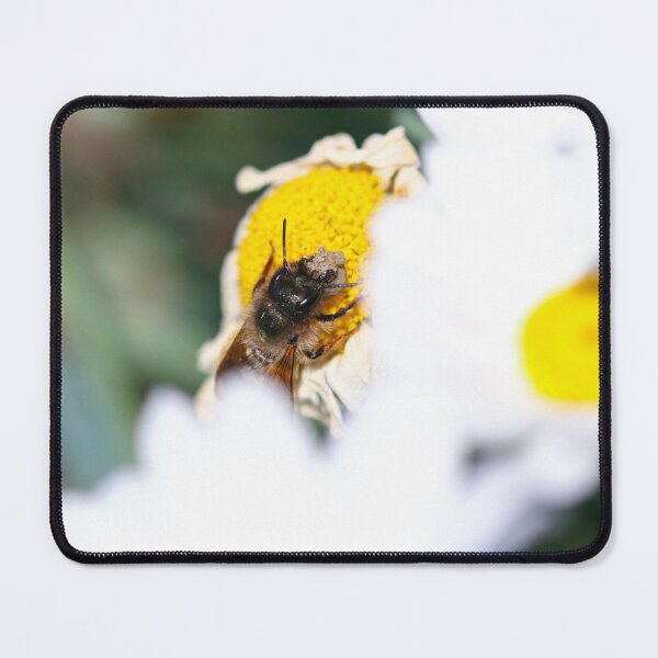 Item preview, Red mason bee collecting mud for her nest designed and sold by GreyFeatherPhot.