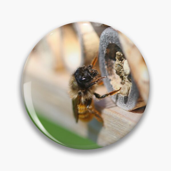 Item preview, Red mason bee landing at her nest chamber designed and sold by GreyFeatherPhot.