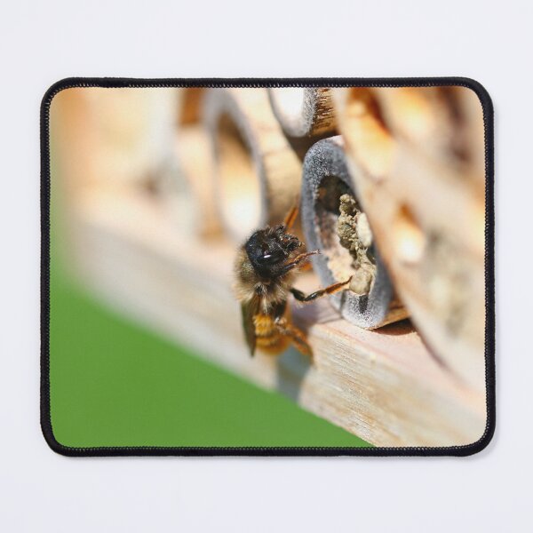 Item preview, Red mason bee landing at her nest chamber designed and sold by GreyFeatherPhot.
