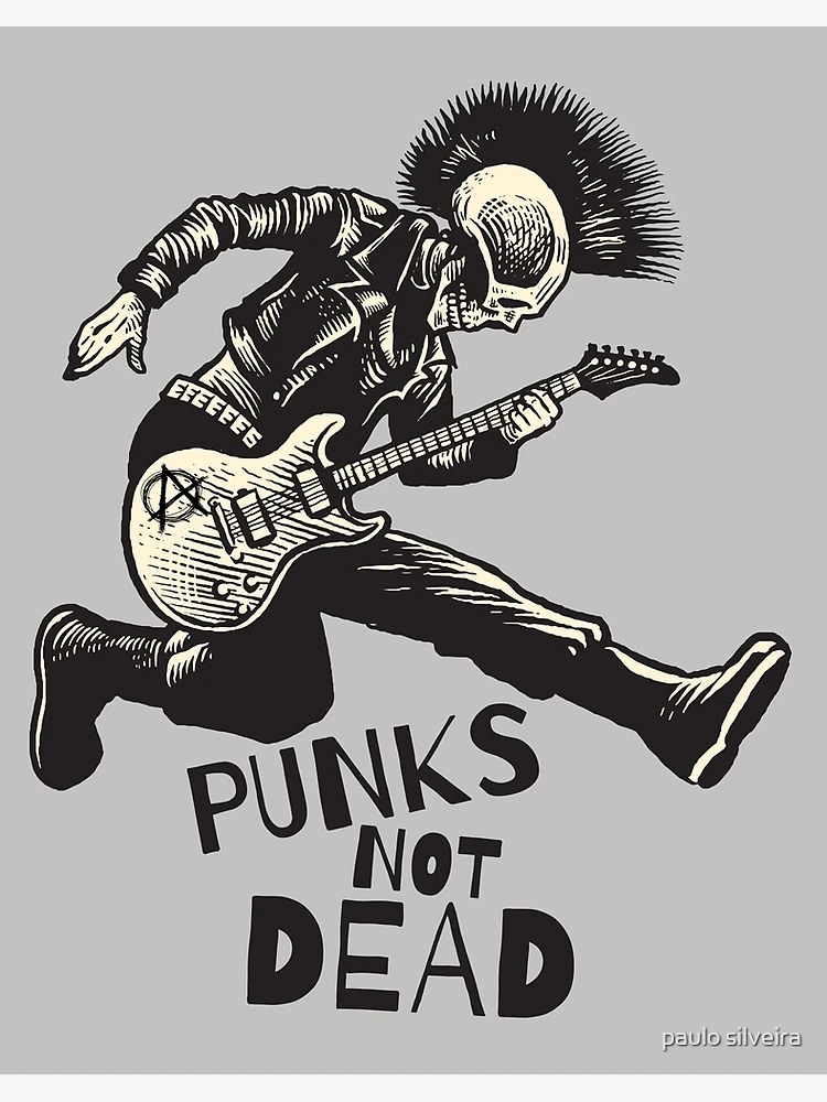 Not Another Punk Book! Paperback: Isabella Anscombe, Not