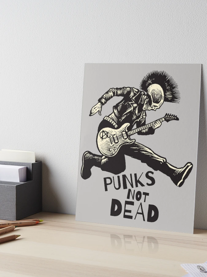 Not Another Punk Book! Paperback: Isabella Anscombe, Not