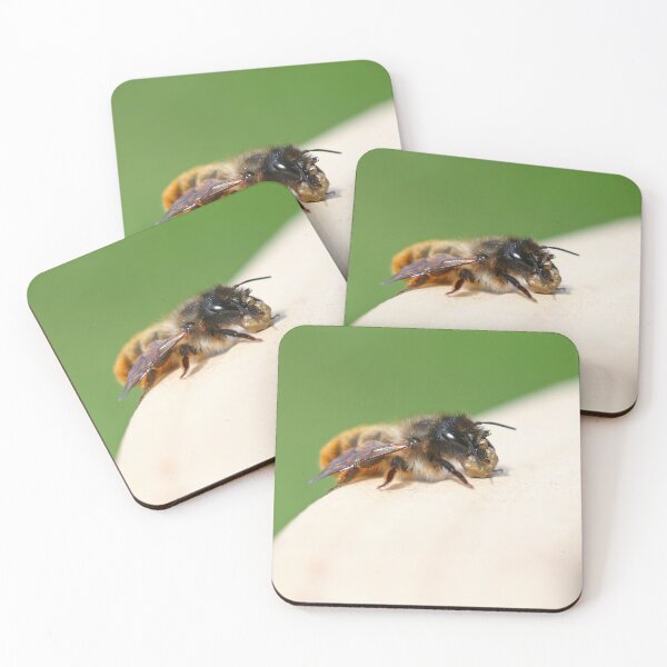 Item preview, Female red mason bee gathering mud designed and sold by GreyFeatherPhot.