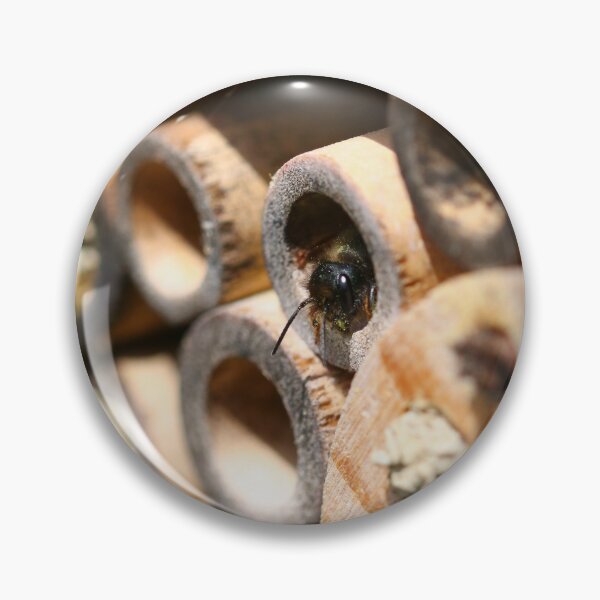 Item preview, Red mason bee nests designed and sold by GreyFeatherPhot.