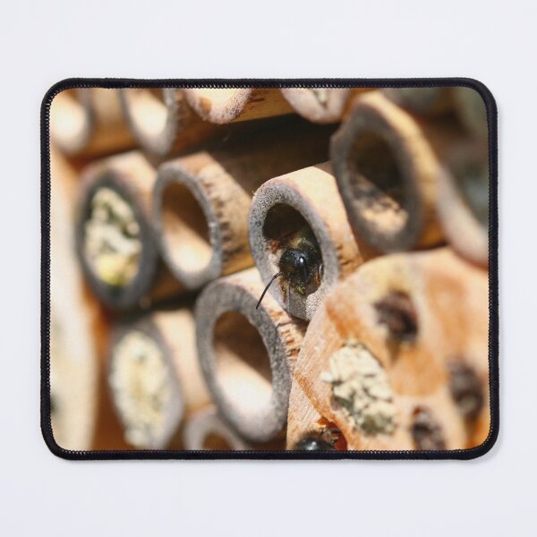 Item preview, Red mason bee nests designed and sold by GreyFeatherPhot.