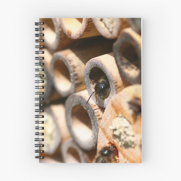Item preview, Red mason bee nests designed and sold by GreyFeatherPhot.