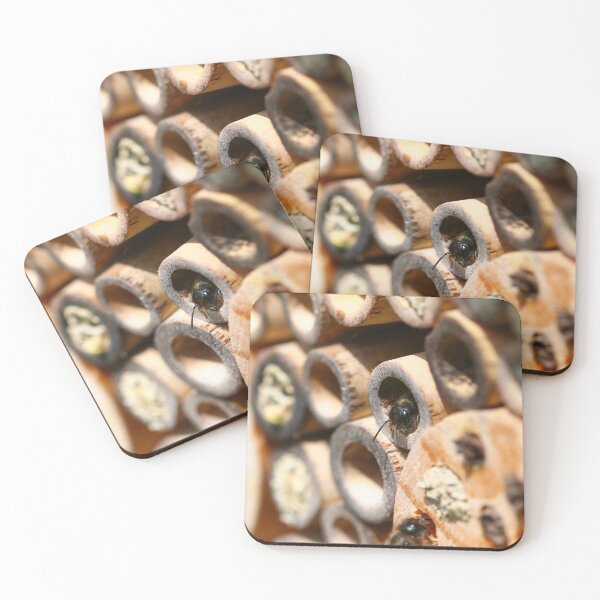 Item preview, Red mason bee nests designed and sold by GreyFeatherPhot.