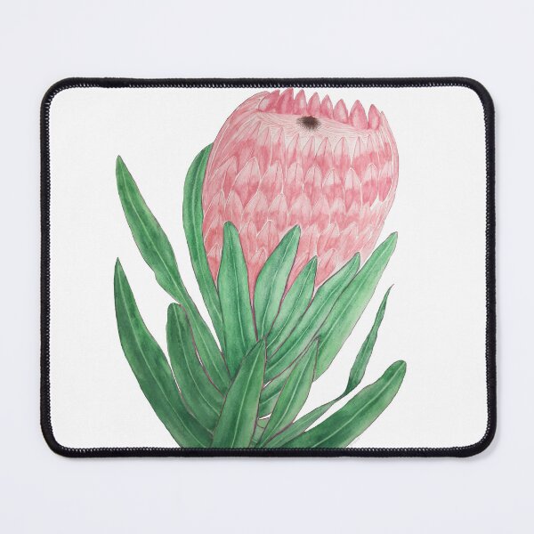 Item preview, Queen Protea - Watercolour designed and sold by K-Dembaremba.