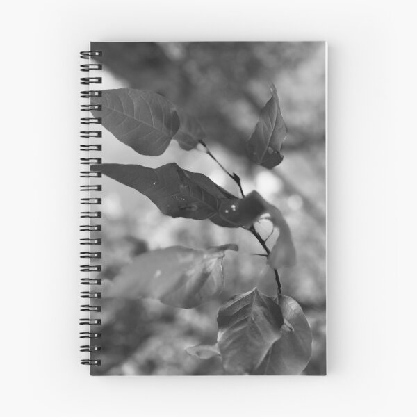 Item preview, Among the Old Cottonwoods designed and sold by Photobomb81.