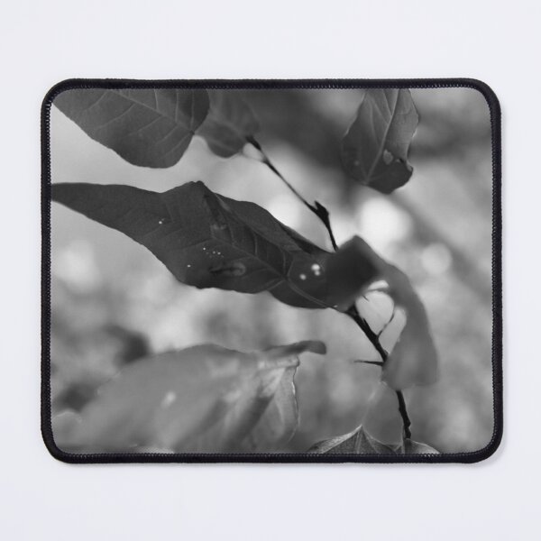 Item preview, Among the Old Cottonwoods designed and sold by Photobomb81.
