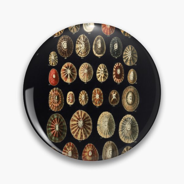 Item preview, Limpet Shells Vintage Antique Scientific Natural History Illustration   	 designed and sold by uaqkbxvtocn12.