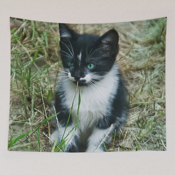 Item preview, Blue-Eyed Baby Kitten Sniffing Blade Of Grass designed and sold by DEC02.