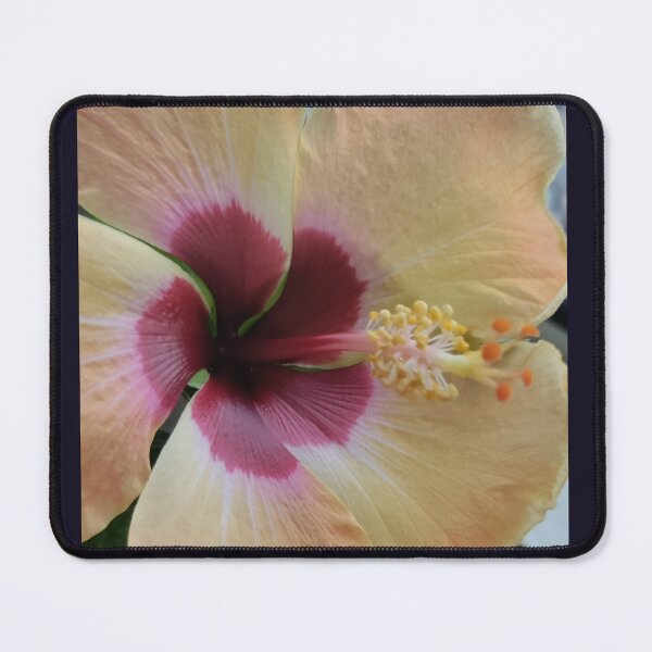 Item preview, Amazing hibiscus flower. designed and sold by Agift4u.