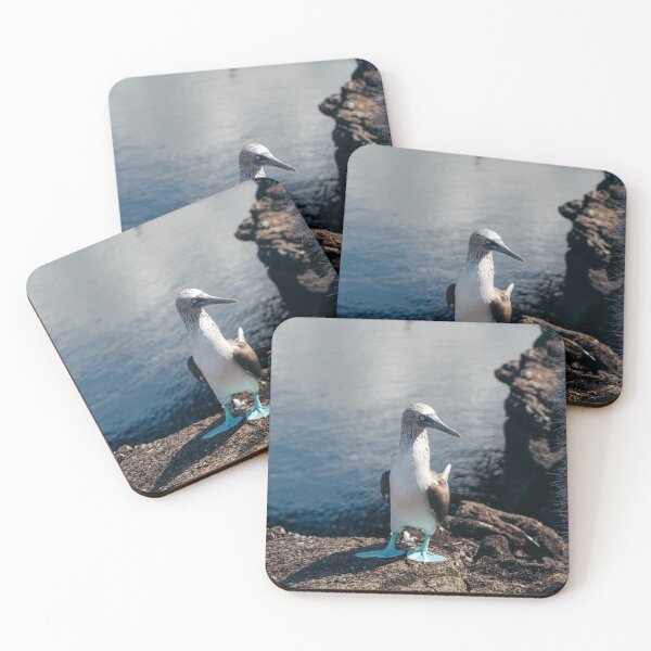 Item preview, Blue Footed Booby of Galapagos designed and sold by Juan Martin Cueva.