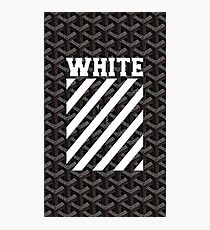 white paper Photographic Print