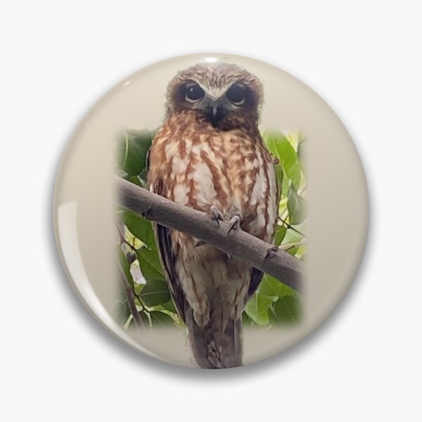 Item preview, Boobook owl designed and sold by indiafrankk.