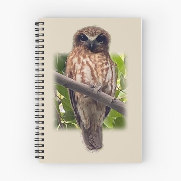 Item preview, Boobook owl designed and sold by indiafrankk.