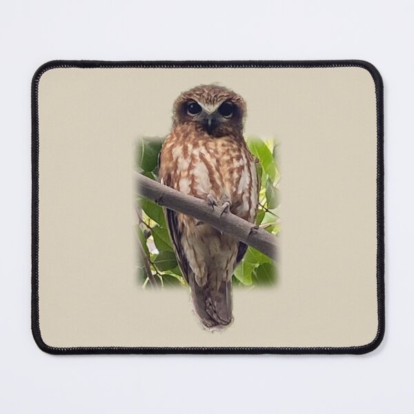 Item preview, Boobook owl designed and sold by indiafrankk.