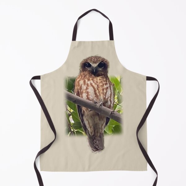 Item preview, Boobook owl designed and sold by indiafrankk.