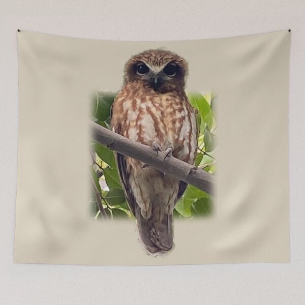 Item preview, Boobook owl designed and sold by indiafrankk.