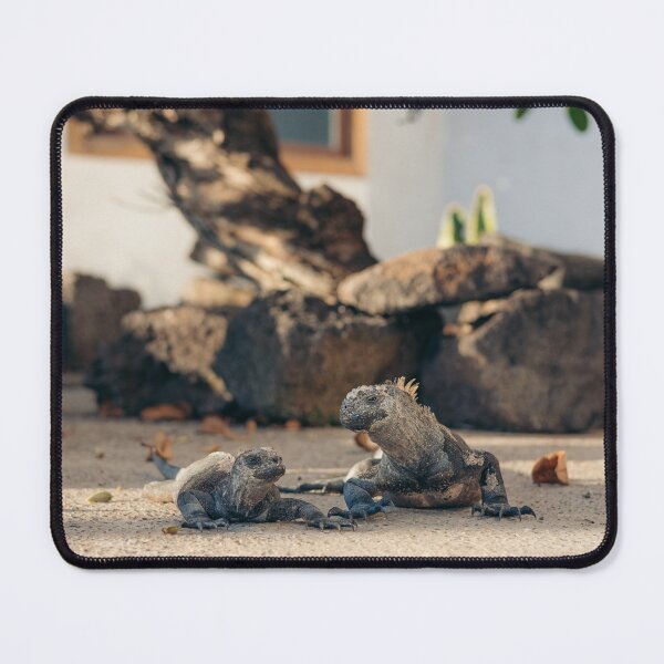 Item preview, Iguanas in Galapagos designed and sold by Juan Martin Cueva.