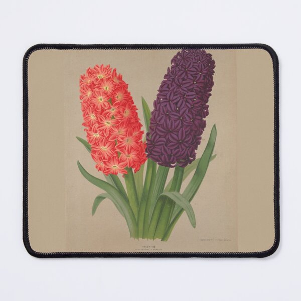 Item preview, Hyacinth Botanical Classificaton designed and sold by The-Art-Depot.