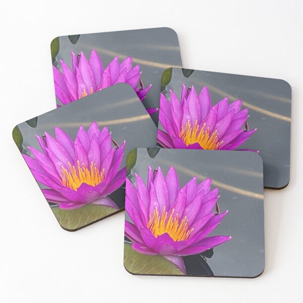 Item preview, pink lily in pond designed and sold by vchape.