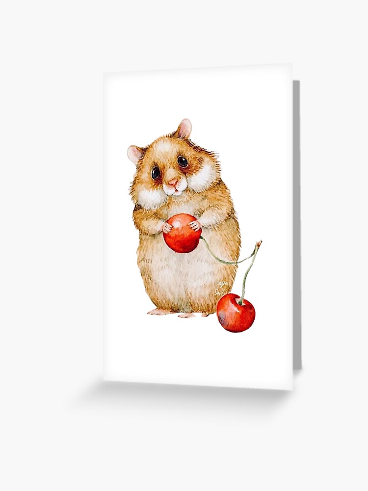 Guinea pigs and clearance cherries