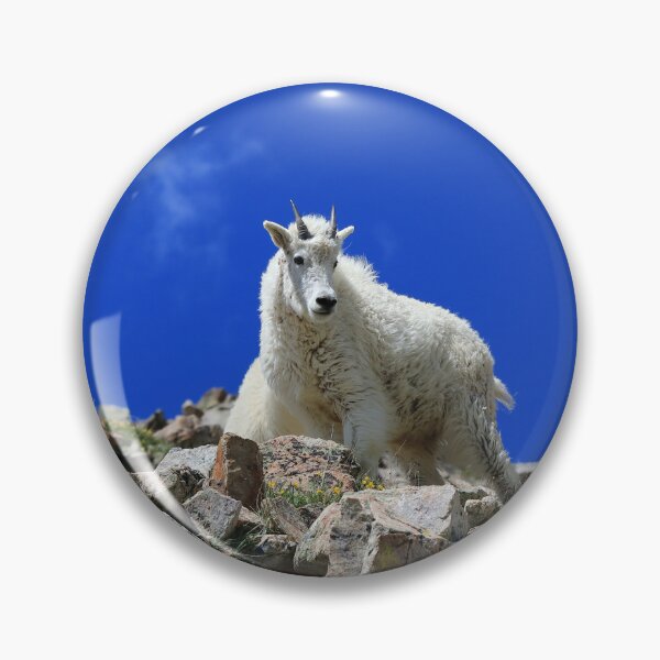 Item preview, Young goat designed and sold by zumi.