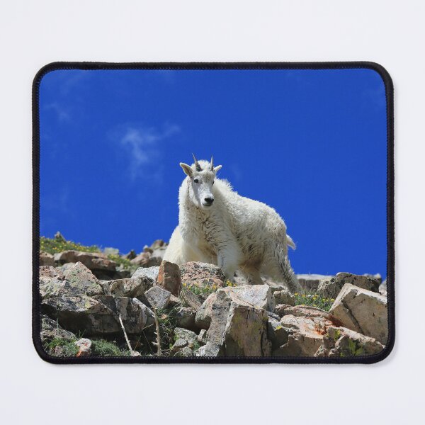 Item preview, Young goat designed and sold by zumi.