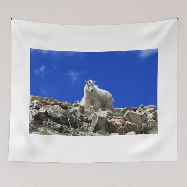 Item preview, Young goat designed and sold by zumi.