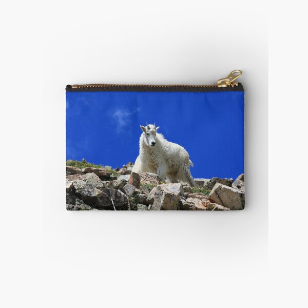 Item preview, Young goat designed and sold by zumi.