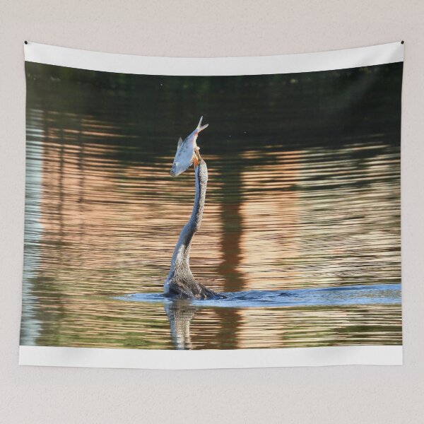 Item preview, proud catch Australasian darter  designed and sold by Mark Grimsley.