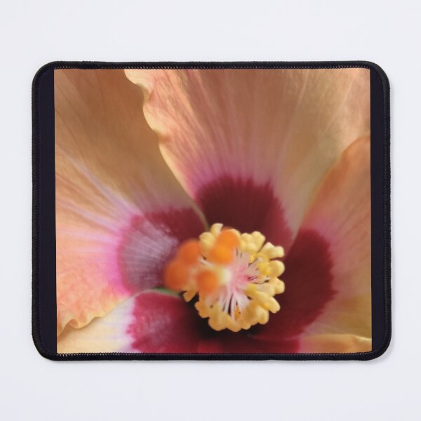 Item preview, A beautiful, colorful, hibiscus flower. designed and sold by Agift4u.