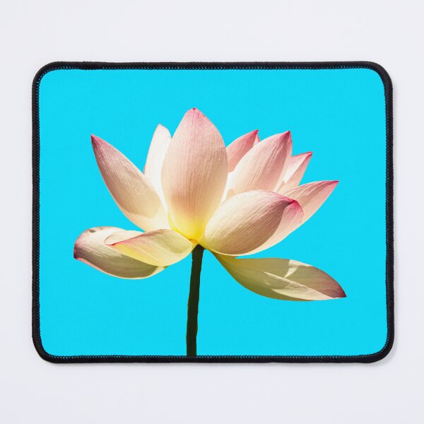 Item preview, Laxmi lotus designed and sold by annasofia.