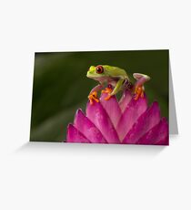 The young adventurer V2 Greeting Card