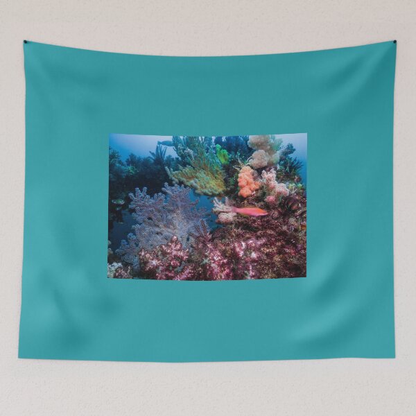 Item preview, Soft coral reef with cute little fish designed and sold by tank200bar.