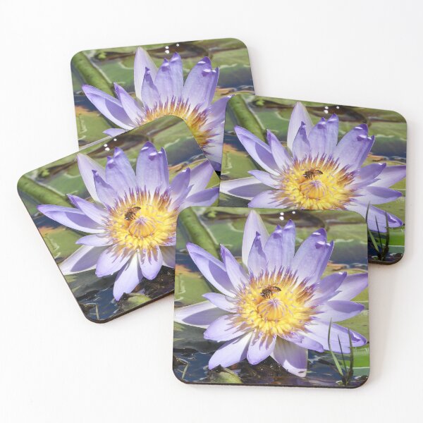 Item preview, Bee and flower Dundowran Beach  designed and sold by Mark Grimsley.