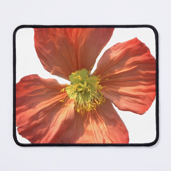 Item preview, Orange Red Real Poppy Flower in the Sun designed and sold by Beardsall-Art.