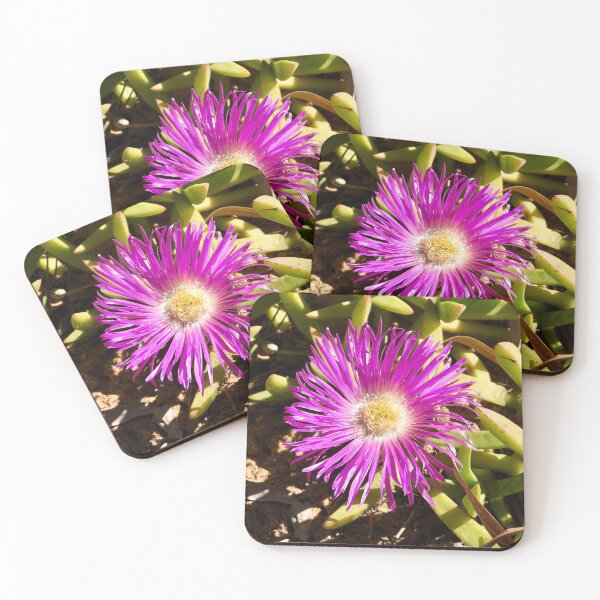 Item preview, Pink beach Flower nice colour designed and sold by Mark Grimsley.
