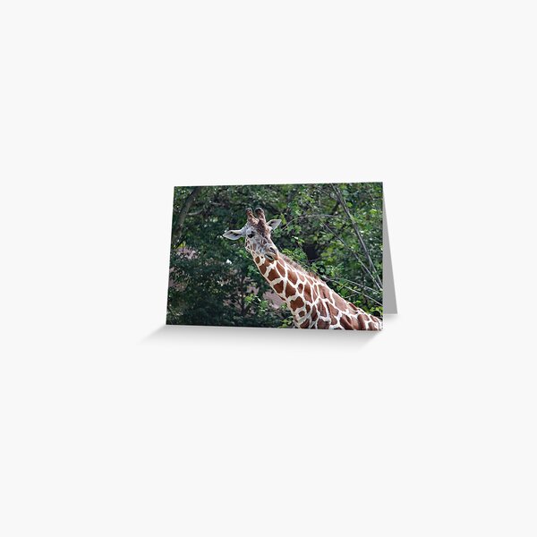 Item preview, Reticulated Giraffe designed and sold by Strawflower Oasis.
