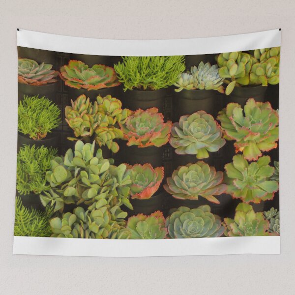 Item preview, Sensational succulents designed and sold by FranWest.