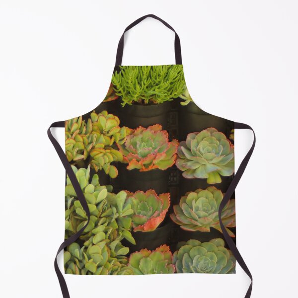 Item preview, Sensational succulents designed and sold by FranWest.