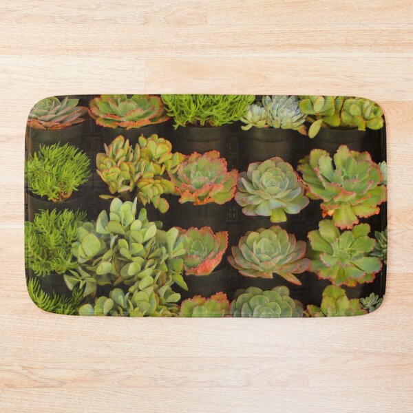 Item preview, Sensational succulents designed and sold by FranWest.