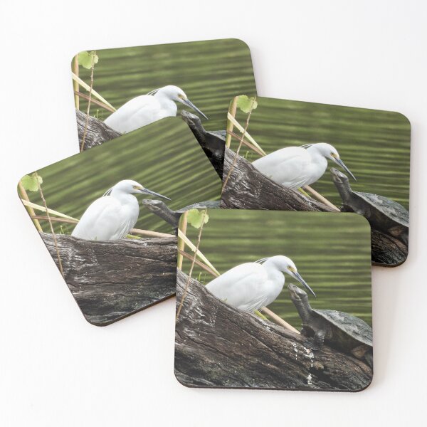Item preview, Unusual friends egret and turtle designed and sold by Mark Grimsley.
