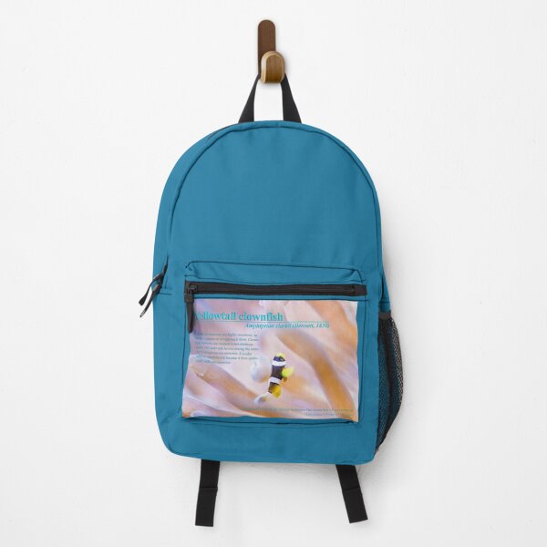 Item preview, Young Yellowtail clownfish designed and sold by tank200bar.
