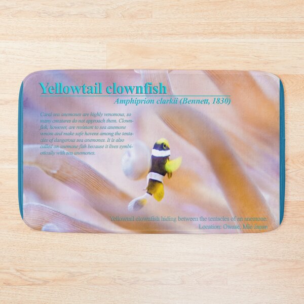 Item preview, Young Yellowtail clownfish designed and sold by tank200bar.