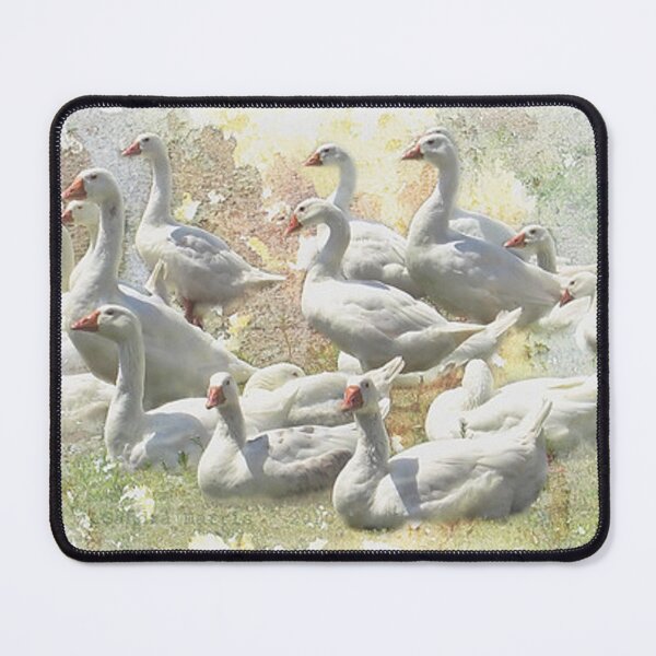 Item preview, A gaggle of geese designed and sold by SHARRIS29.