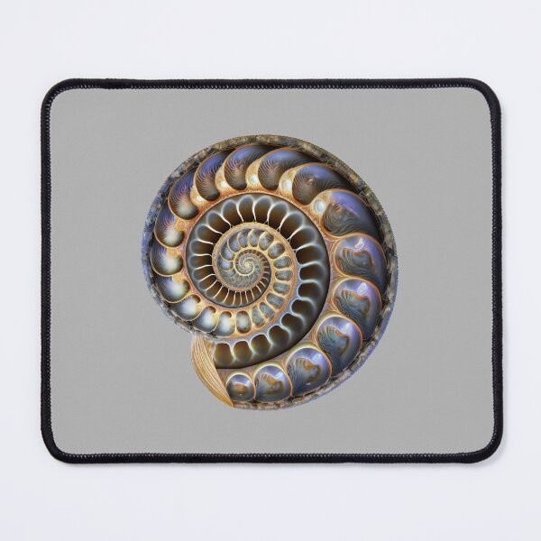Item preview, Fibonacci, spiral, sea shell, nautilus, snail, phi, symbol, golden ratio, geometry designed and sold by nitty-gritty.