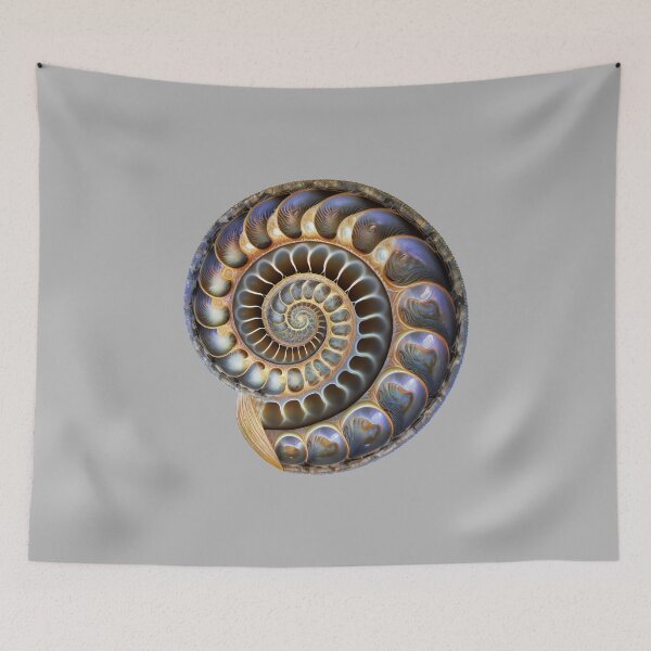 Item preview, Fibonacci, spiral, sea shell, nautilus, snail, phi, symbol, golden ratio, geometry designed and sold by nitty-gritty.